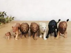 2025年最新】アニア希少の人気アイテム - メルカリ