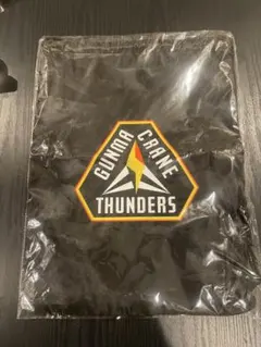 群馬クレインサンダーズ ナップザック