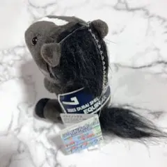 2026年最新】イクイノックス アイドルホース ドバイの人気アイテム