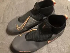 Item thumbnail for item 6b44d392-5267-467f-9696-c24ffb4e07d6