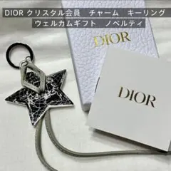【新品未使用】DIOR クリスタル 星形 キーリング ボックス付き