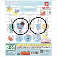 カプセルトイ　JOCHUM　めじるしアクセサリー　レイン＆マイクン