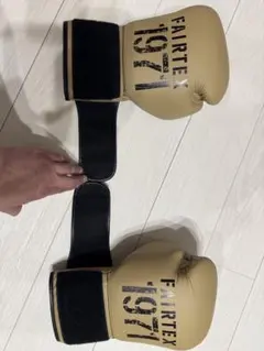 2026年最新】フェアテックス Fairtex グローブの人気アイテム - メルカリ