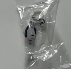 PEANUTS スヌーピーA めじるしアクセサリー FUNNYver. ガチャ