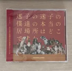ペルシカリア　4th EP 迷子の迷子の僕達の本当の居場所はどこですか CD