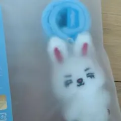 チェチェリー】MINITEENペンライトカバー - メルカリ