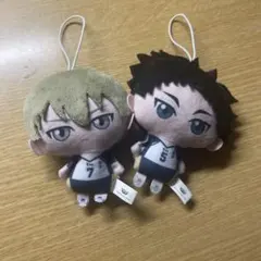 ハイキュー ぬいぐるみ マスコット 2体セット