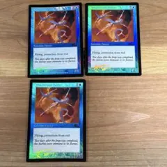 MTG 雨ざらしの旅人/Weathered Wayfarer 日本語 初版 - メルカリ