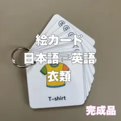 ベビーパーク グローバルビジョン プリント 教材 知育 フラッシュ