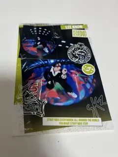 straykids KARMA リノ ポストカード accordion