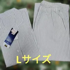 Item thumbnail for item 30aa8c04-b4f3-46d3-b300-8667bcc03ecf