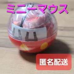 東京ディズニーリゾート エコバッグ ミニーマウス