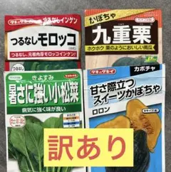 medaka⚠️プロフ必見！プチ引越中様 リクエスト 2点 まとめ商品