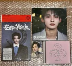 &TEAM ジョー CD五月雨 雪明かり 月狼 ソロジャケ