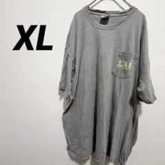 コンフォートカラーズ Tシャツ XL バックプリント 階調プリント ビッグサイズのサムネイル