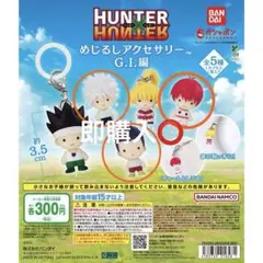 HUNTER×HUNTER めじるしアクセサリー グリードアイランド セミコンプ