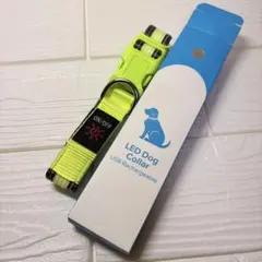 Item thumbnail for item 384f8405-e3b2-40ff-b05b-7cd379c4edac