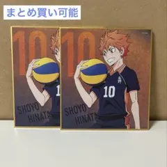 日向翔陽 トレーディング ミニ色紙 2枚セット