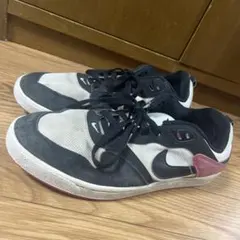Nike SB スニーカー ブラック/グレー/レッド