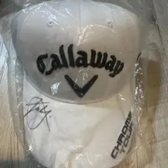 Item thumbnail for item 4672bb1b-52a3-4536-b5c3-86f366e69103