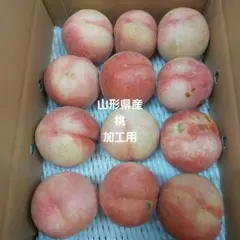 山形県産27桃加工用31日