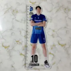 2025年最新】大阪ブルテオン 山内晶大の人気アイテム - メルカリ