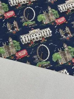 10♬ෆ˚*年末セール・【2枚セット】キャスキッドソン・シーチング生地