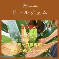 おまとめ スノーパフ 3リトルジェム おまとめ スノーパフ 3リトルジェム - メルカリ