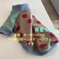 〜小春日和〜✨メモリーカフェ✨さま　ご相談用