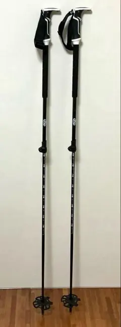 BCA Scepter carbon セプター カーボン スキー ポール