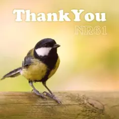 hanna様 リクエスト 2点 まとめ商品