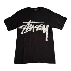 stussy BIG STOCKステューシー ロゴシャツ ビッグロゴのサムネイル