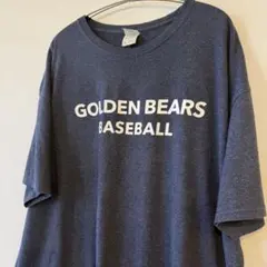 JERZEES 2XL GOLDEN BEARS 野球 Tシャツ 古着 C-32