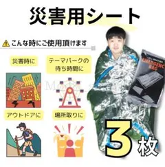 Item thumbnail for item c3012ec6-d2dc-4bce-a61f-d03ef4e190d8