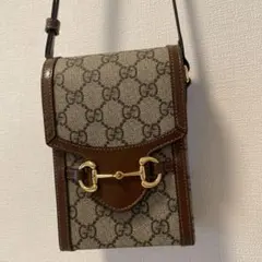 Gucci GGパターン ショルダーバッグ　ホースピッド
