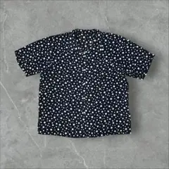 Item thumbnail for item 2ff5f363-6383-47da-b751-db3bee4ab6c1