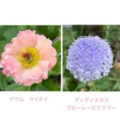 あらまるん（プロフ必読）様 リクエスト 2点 まとめ商品