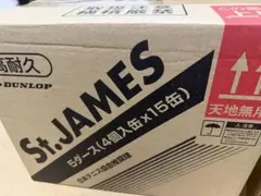 新品未使用 セントジェームス テニスボール イエロー DUNLOP 60球