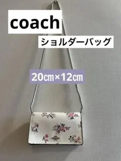 値下げ‼️coach ショルダーバッグ　お財布　スマホ