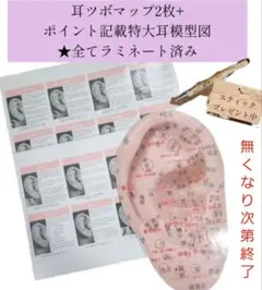 Item thumbnail for item abef5425-1339-42f4-b304-c138c8500aba