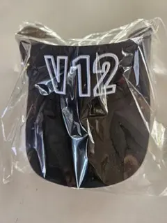 Item thumbnail for item 9e77e150-69e1-4f95-8458-9e814cdad980