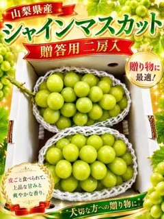 お盆セール品なくなり次第終了限定岡山県産シャインマスカット5房 化粧箱訳あり小粒 お盆セールなくなり次第終了 岡山県産シャインマスカット5房 化粧箱訳