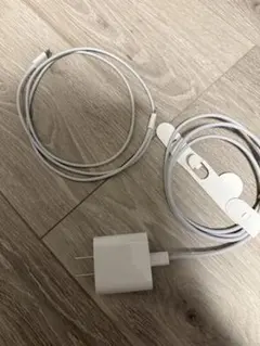 Apple純正USB-Cアダプタ＋Lightningケーブル2本セット