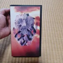 LUNA SEA Sin After Sin VHS