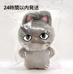 2025年最新】ジゼル ぬいぐるみ aespaの人気アイテム - メルカリ