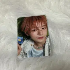 【匿名配送】nctwish ユウシ songbird トレカ