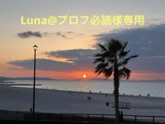 Luna@プロフ必読様専用