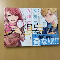 女神の妄想 上下