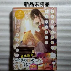 ある日、お姫様になってしまった件について 12巻