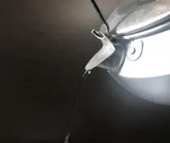 Item thumbnail for item 27406d60-ce4e-4249-8610-40c847d25947